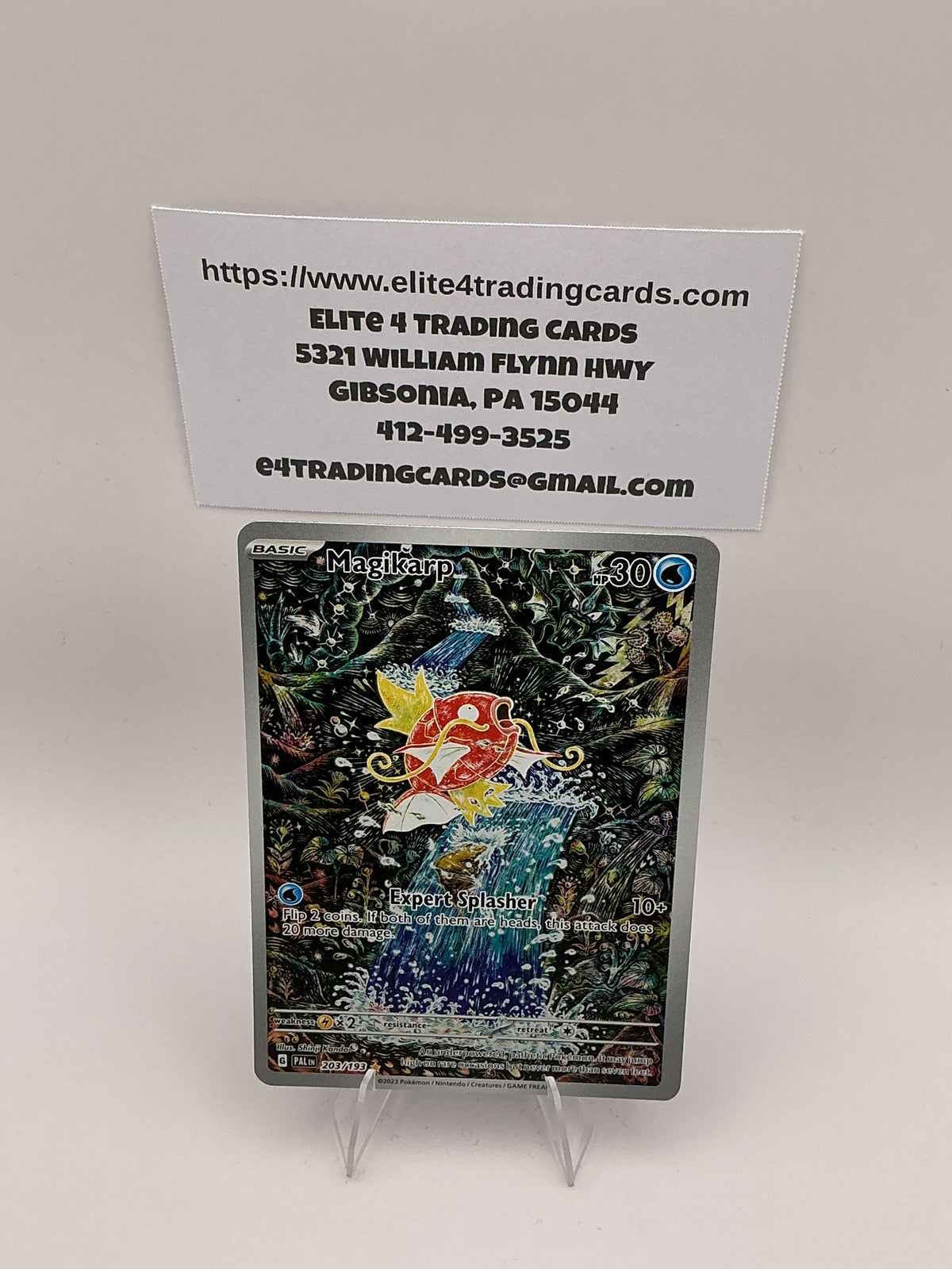 Magikarp - 203/193 - SV02: Paldea Evolved (PAL) - NM