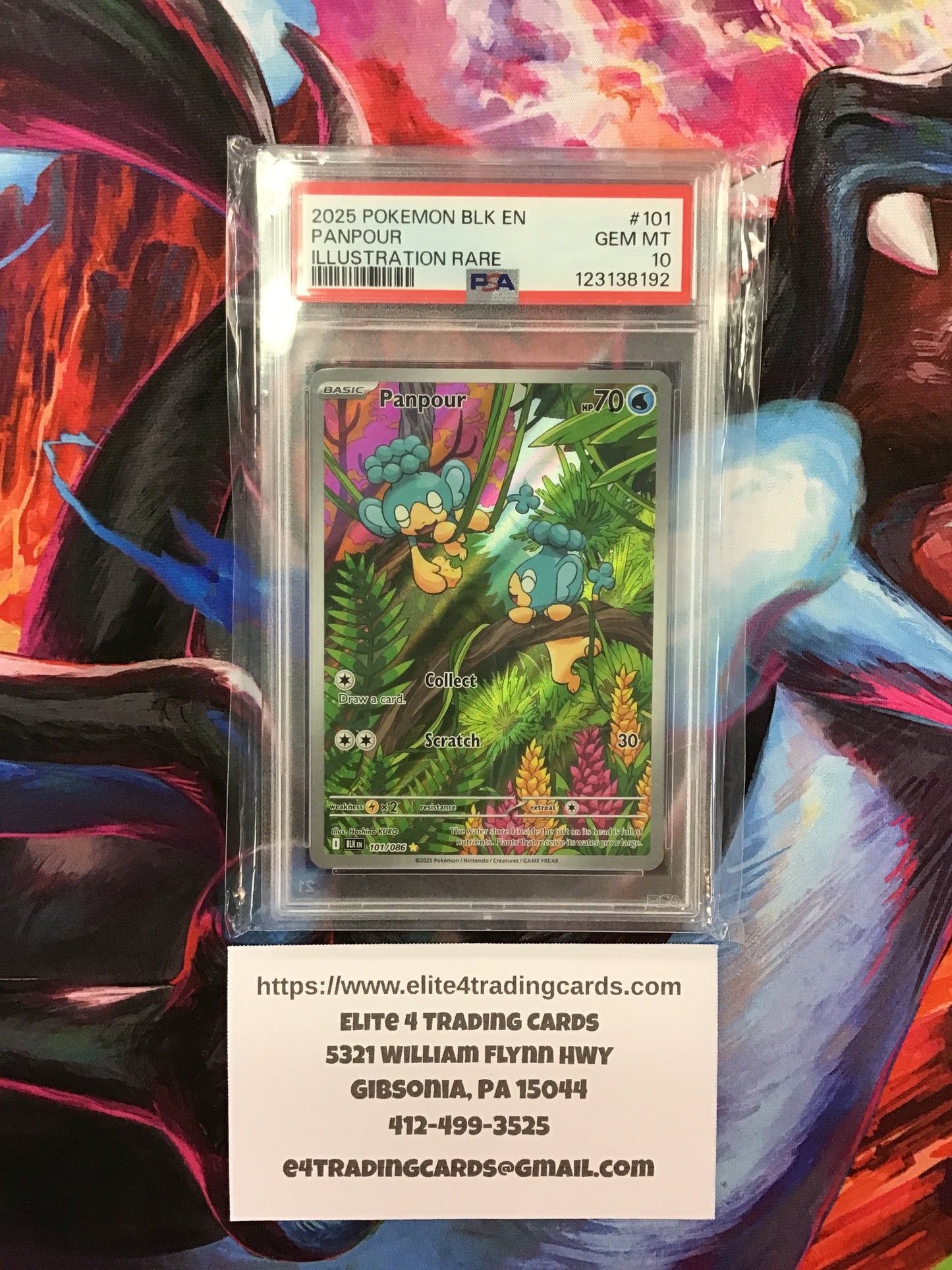 Panpour #101 Pokemon Black Bolt