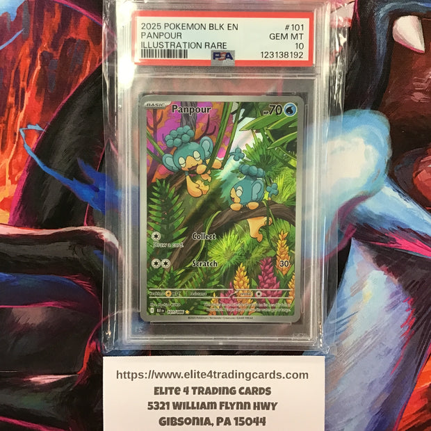 Panpour #101 Pokemon Black Bolt