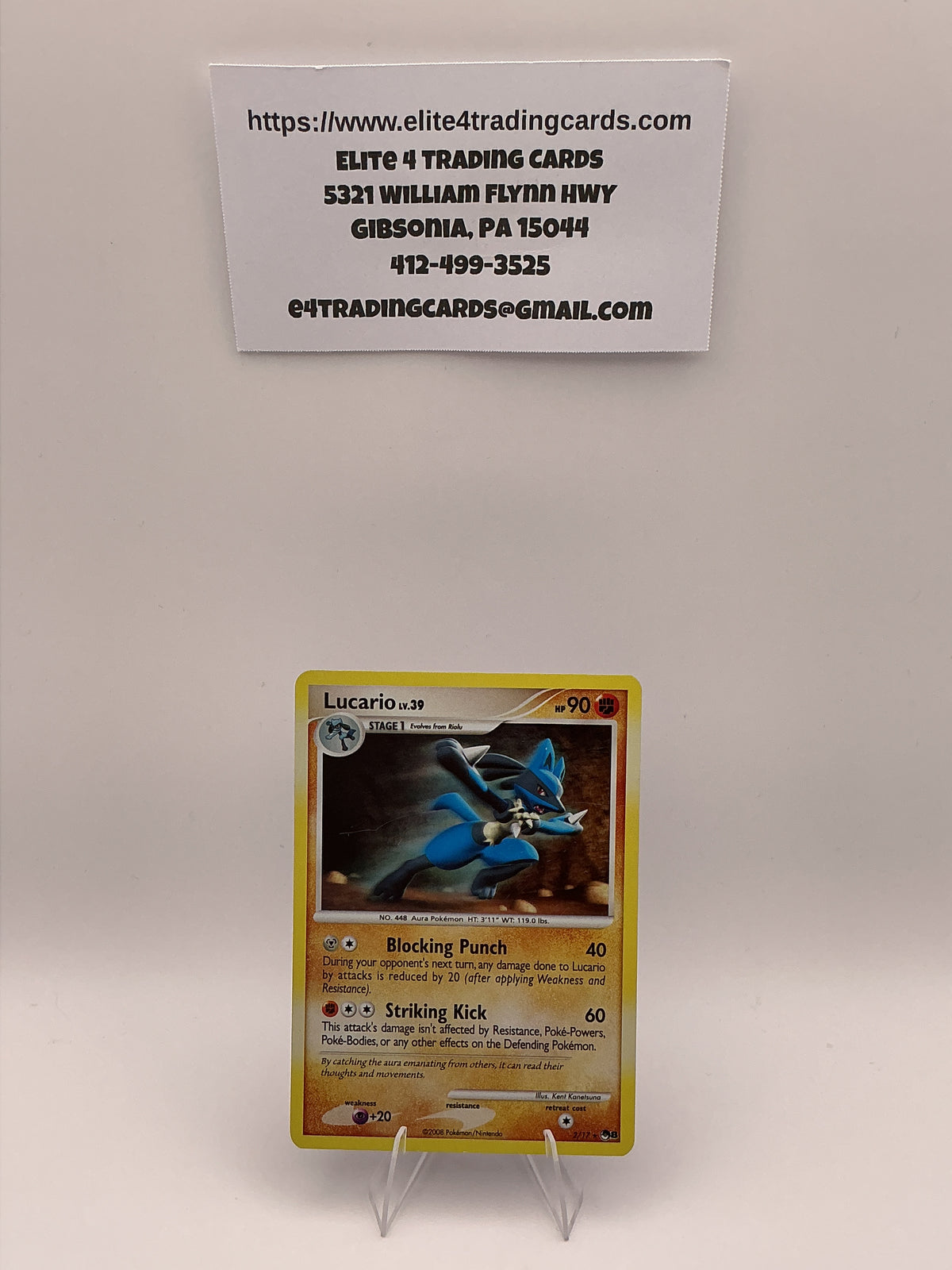 Lucario - POP Series 8 (POP) Holofoil - LP
