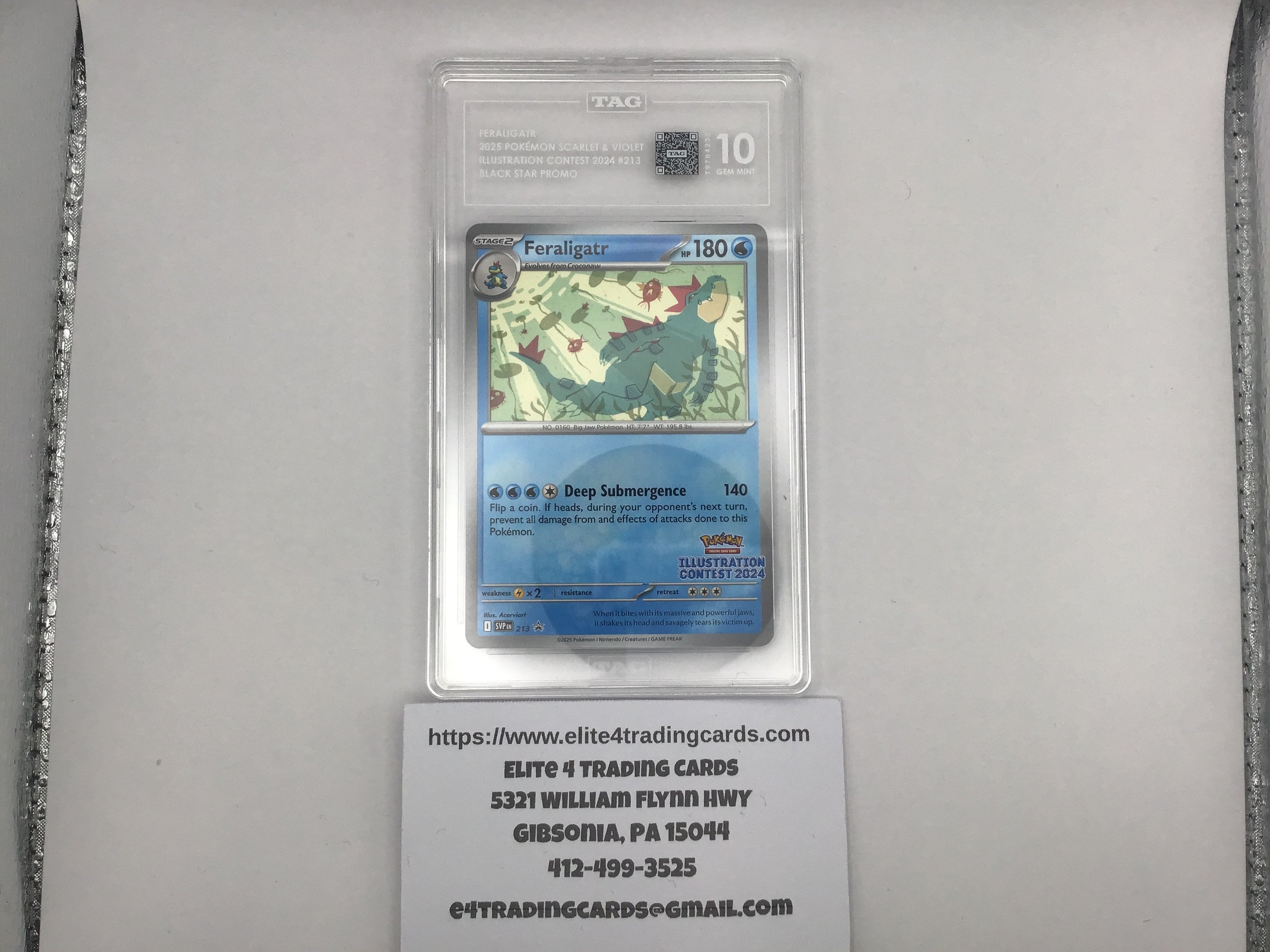 Feraligatr #213 Pokemon Promo (TAG 10)
